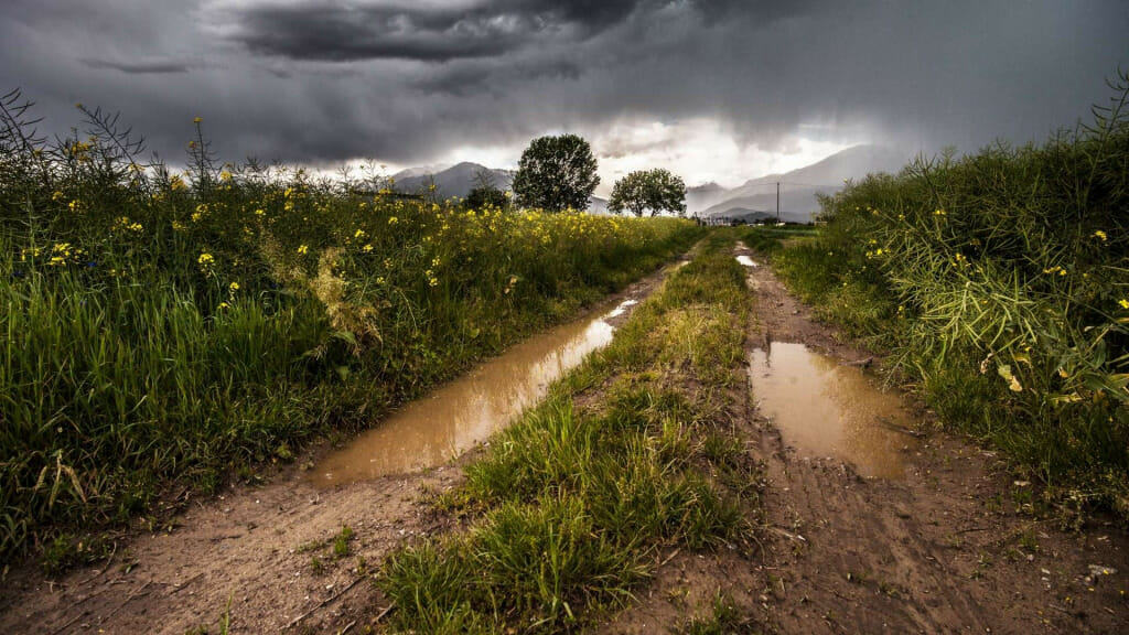 What If We Could Give Plants a Superpower? 8 Discover the importance of effective water management in high-value greenhouse farming, Agro Invest Spain with our insights on Beyond Rainfall
