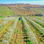 Agricultural Investments in Spain