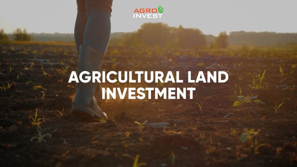 Agricultural Insurance and Financial Support - Strengthening Long-Term Agricultural Ownership in Spain 8 Agricultural Insurance and Financial Support - Strengthening Long-Term Agricultural Ownership in Spain